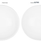 hamnes_thin_por.jpg