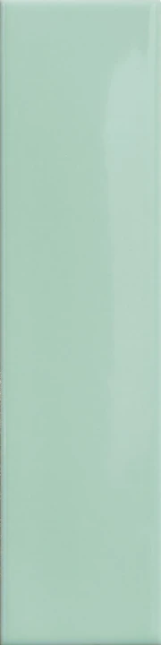 Kappa Mint 5x20_V1.jpg