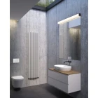 hamnes-thin-wiz3 (1).jpg