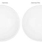 hamnes_thin_por (5).jpg