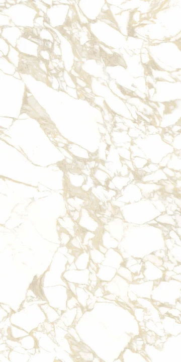 Pulp Gold Double Honed 60x120_V1.webp