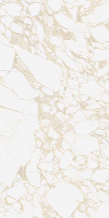 Pulp Gold Raw 60x120_V1.jpg