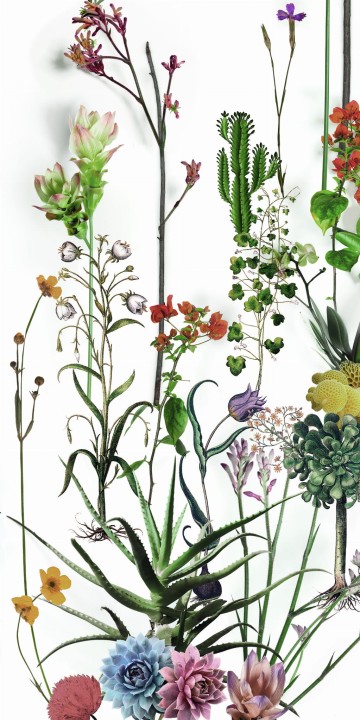 60 x 120 cm 41ZERO42 Paper41 Lux Franz A