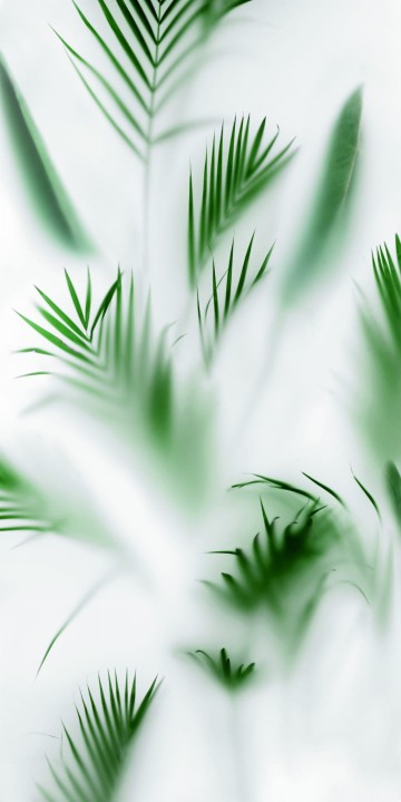 60 x 120 cm 41ZERO42 Paper41 Lux Christoforo A