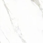 BIANCO CALACATTA 120.120.02.jpg