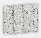 IRIS VENICE VILLA VENICE SILVER