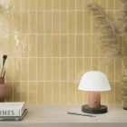 mustard.gloss.01.jpg