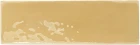 mustard.gloss.02.jpg