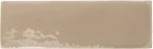 topo.gloss.01.jpg