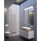 hamnes-thin-wiz2 (2).jpg