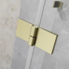 Radaway-Essenza-Pro-Brushed-Gold-detal-zawias-1140x1140.jpg