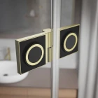 Radaway-Essenza-Pro-Brushed-Gold-detal-zlicowany-zawias-1140x1140.jpg