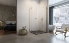 Essenza-Pro-Gold-KDD-medium-1-1440x900.jpg