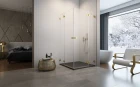 Essenza-Pro-Gold-KDD-medium-2-1440x900.jpg