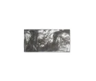 6,2 X 12,5 CM WOW FEZ STEEL GLOSS